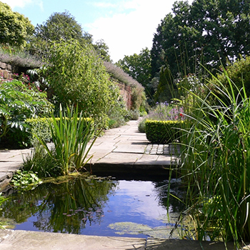 NESS BOTANIC GARDENS, NESTON.